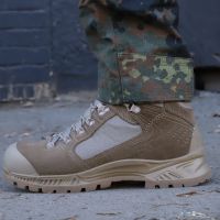Тактичні штани RAPTOR, 80/20 Flecktarn